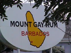 maya ford gay top gay search engines